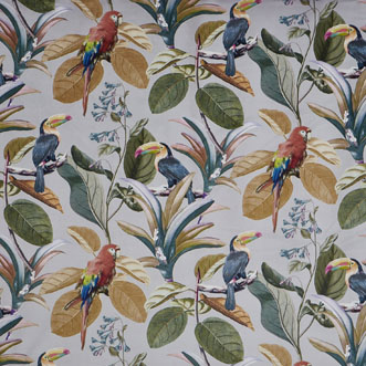 Parrot, Amber - Fabric Only
